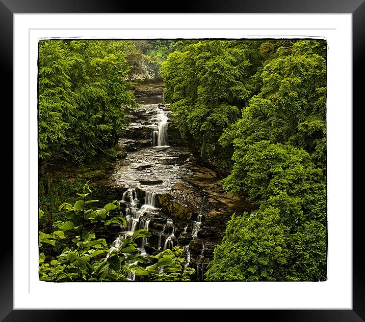 Lush Framed Mounted Print by jane dickie