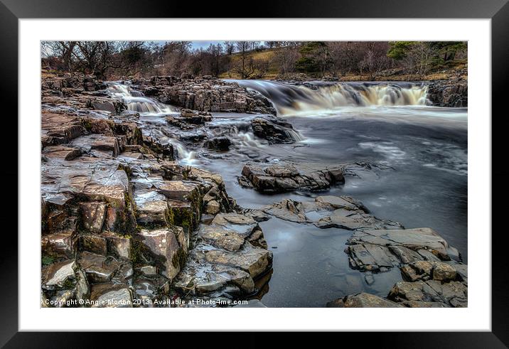 Low Force on the Tees Framed Mounted Print by Angie Morton