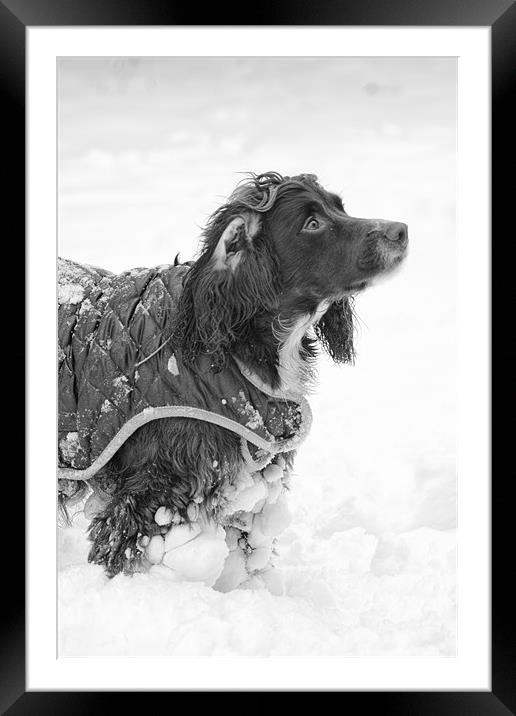 Snow Plough Framed Mounted Print by Rock Weasel Designs