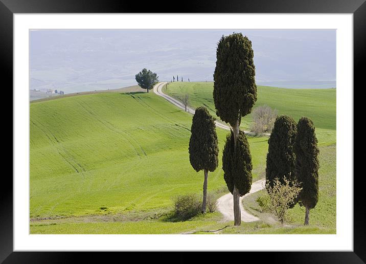 Tuscan landscape Framed Mounted Print by Thomas Schaeffer