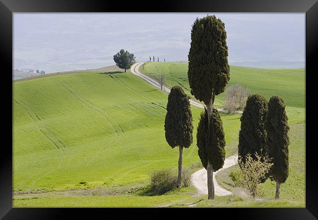 Tuscan landscape Framed Print by Thomas Schaeffer
