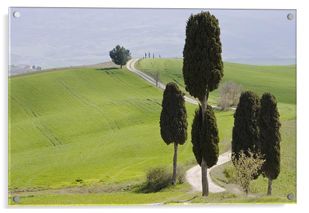 Tuscan landscape Acrylic by Thomas Schaeffer