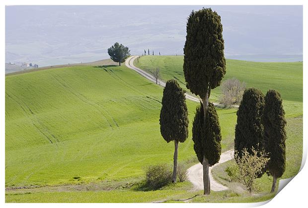 Tuscan landscape Print by Thomas Schaeffer