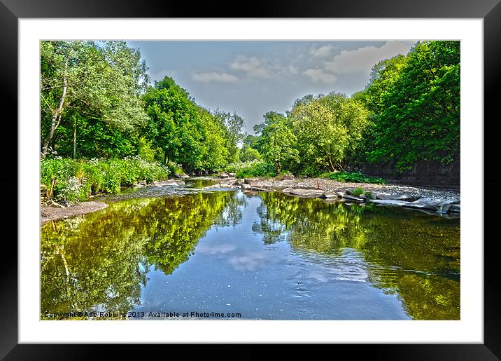 HDR Burrs Framed Mounted Print by Ade Robbins