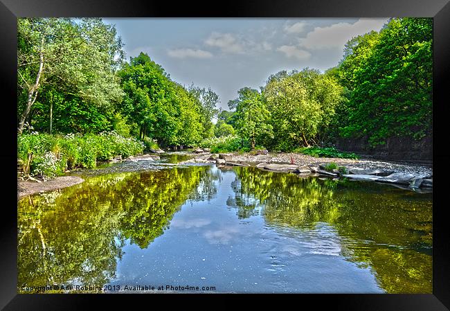 HDR Burrs Framed Print by Ade Robbins