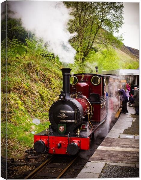 Steam Locomotive Dolgoch, Talyllyn, Wales, UK Canvas Print by Mark Llewellyn