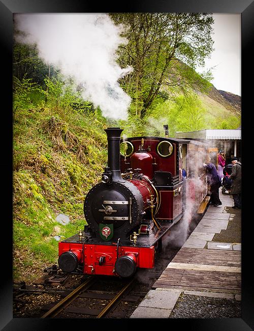 Steam Locomotive Dolgoch, Talyllyn, Wales, UK Framed Print by Mark Llewellyn