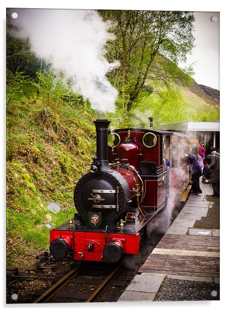 Steam Locomotive Dolgoch, Talyllyn, Wales, UK Acrylic by Mark Llewellyn