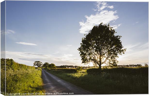 Evening sunlight over a remote country road. East  Canvas Print by Liam Grant