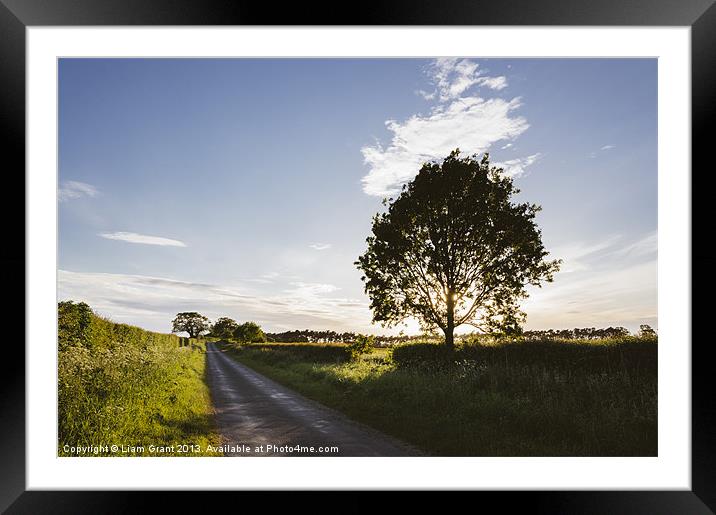 Evening sunlight over a remote country road. East  Framed Mounted Print by Liam Grant