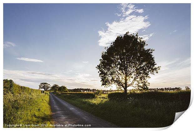 Evening sunlight over a remote country road. East  Print by Liam Grant