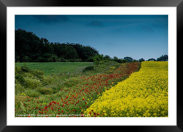 Poppy and Rape Field Framed Mounted Print by Phil Wareham