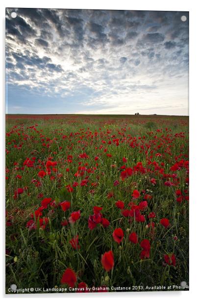 Poppies Acrylic by Graham Custance