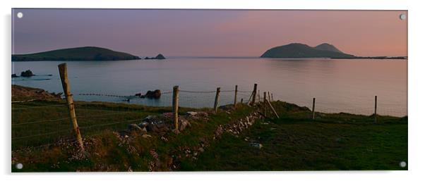 View of the Blasket Islands Acrylic by barbara walsh