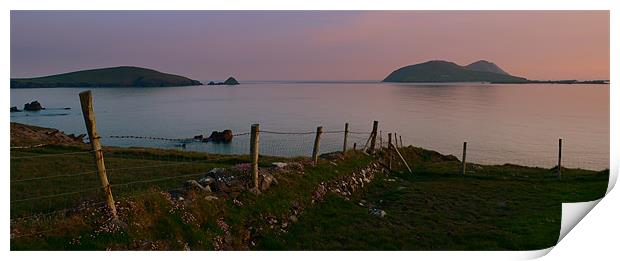 View of the Blasket Islands Print by barbara walsh