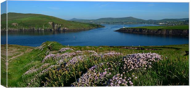 View over Dingle Bay Canvas Print by barbara walsh