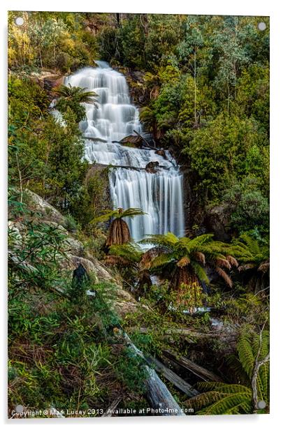 Fainter Falls - Bogong Victoria Acrylic by Mark Lucey