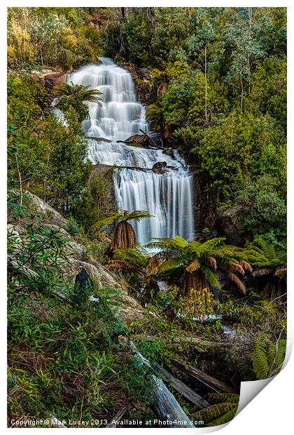 Fainter Falls - Bogong Victoria Print by Mark Lucey