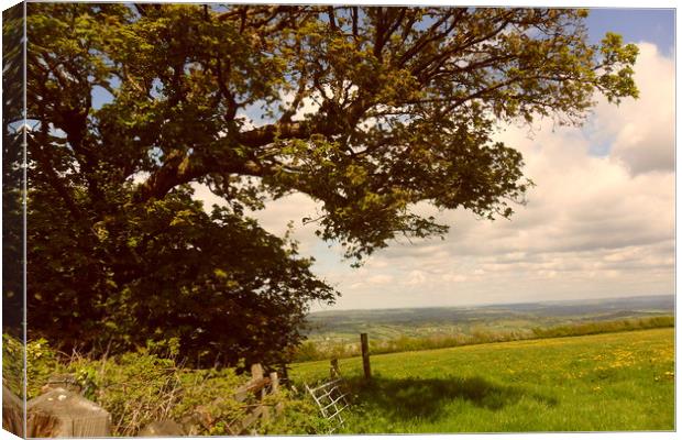 Blagdon Somerset, Across the Fields. Canvas Print by Heather Goodwin