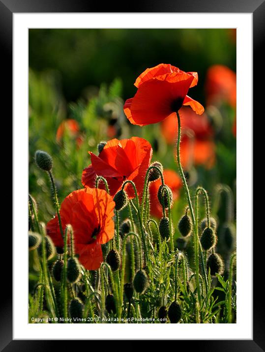 Stand tall Framed Mounted Print by Nicky Vines