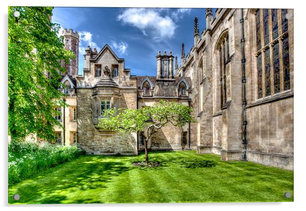 Cambridge University Courtyard Acrylic by Mike Gorton
