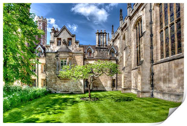 Cambridge University Courtyard Print by Mike Gorton