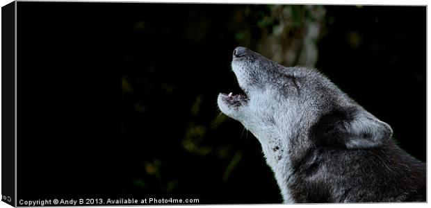 The Howling Wolf Canvas Print by Andy Bennette