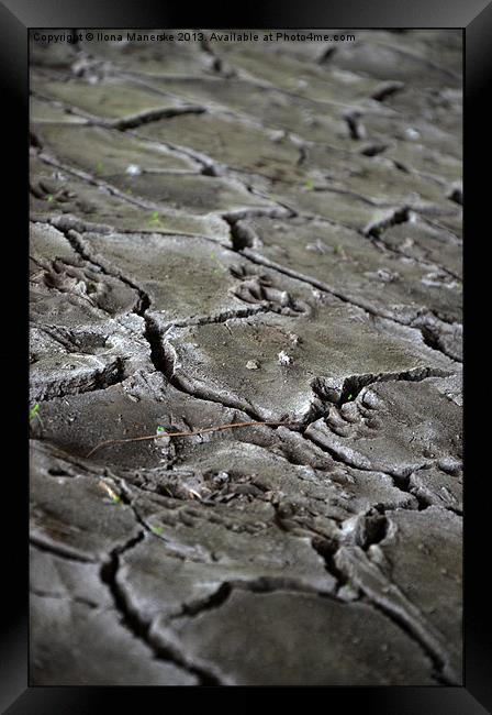 cracked earth under the bridge Framed Print by Ilona Manerske
