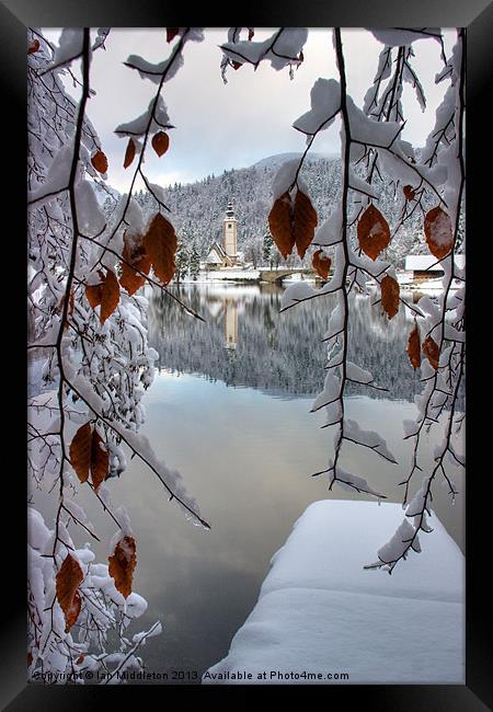 Lake Bohinj in winter Framed Print by Ian Middleton