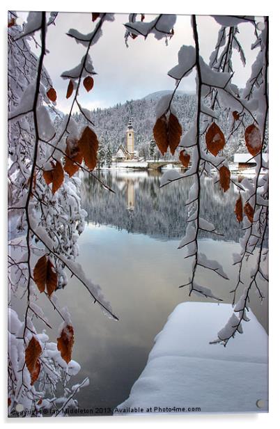 Lake Bohinj in winter Acrylic by Ian Middleton