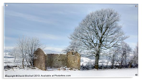 Derelict Peak District Barn in Winter Acrylic by David Birchall