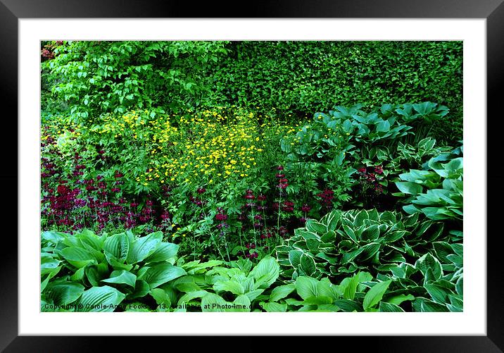 Botanic Gardens Birmingham Framed Mounted Print by Carole-Anne Fooks