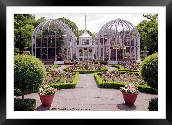 Birmingham Botanic Gardens Framed Mounted Print by Carole-Anne Fooks