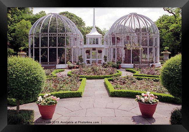 Birmingham Botanic Gardens Framed Print by Carole-Anne Fooks
