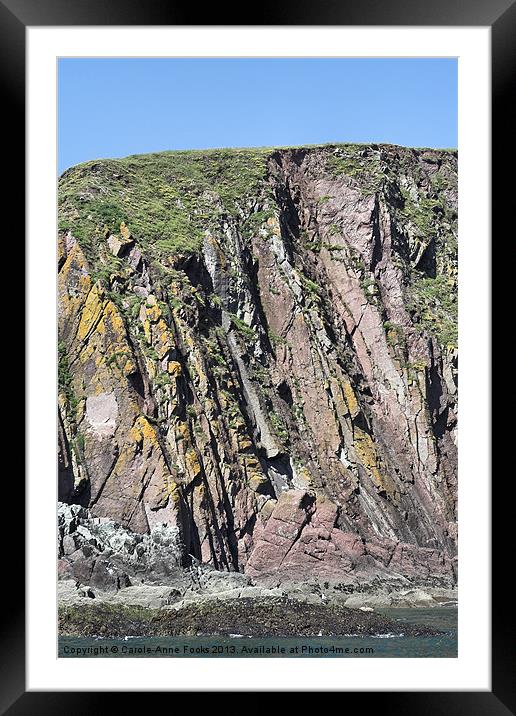 Caldey Island  Pembrokeshire Wales Framed Mounted Print by Carole-Anne Fooks