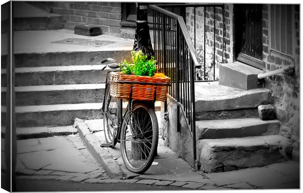 Old Bicycle and Basket, Durham Canvas Print by Helen Holmes