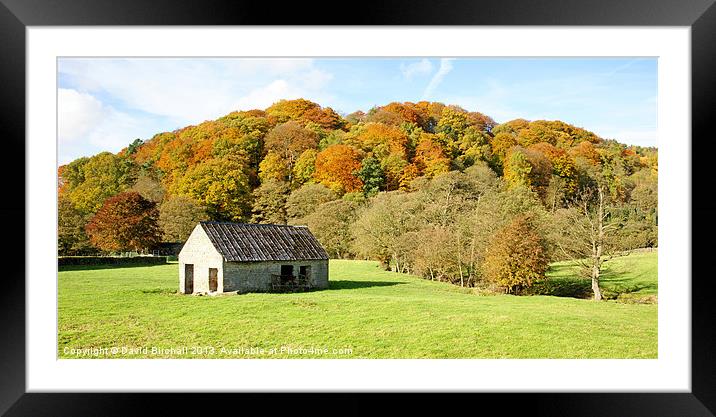 Change Of Season in Derbyshire Framed Mounted Print by David Birchall