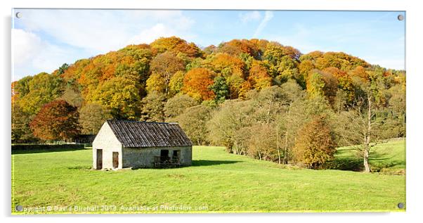 Change Of Season in Derbyshire Acrylic by David Birchall