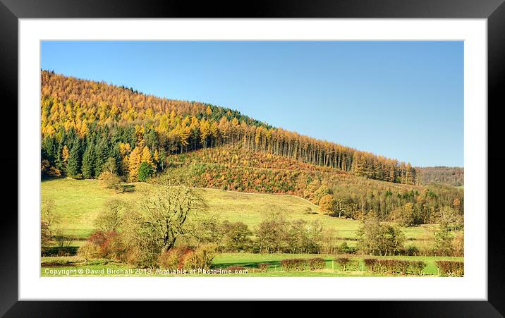 Autumnal Hillside in Derbyshire Framed Mounted Print by David Birchall
