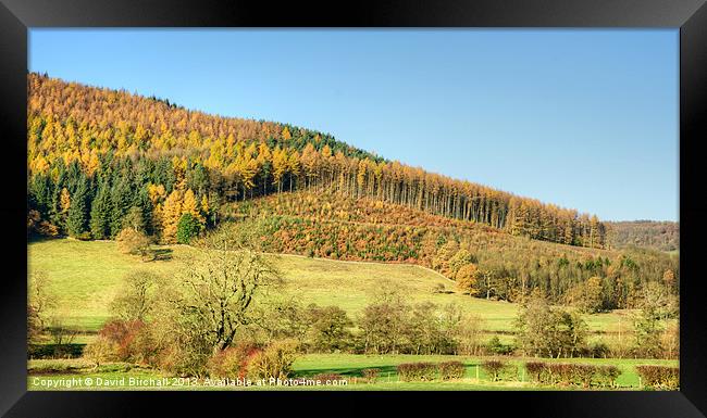 Autumnal Hillside in Derbyshire Framed Print by David Birchall