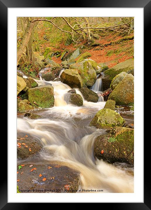 Woodland stream In autumn at Padley Gorge. Framed Mounted Print by David Birchall