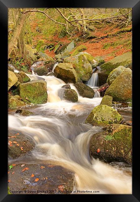 Woodland stream In autumn at Padley Gorge. Framed Print by David Birchall