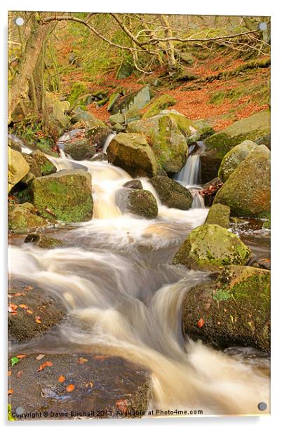 Woodland stream In autumn at Padley Gorge. Acrylic by David Birchall