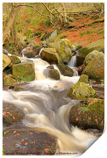 Woodland stream In autumn at Padley Gorge. Print by David Birchall