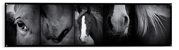 Wild Horses Acrylic by Debra Kelday