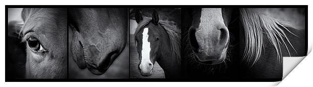 Wild Horses Print by Debra Kelday
