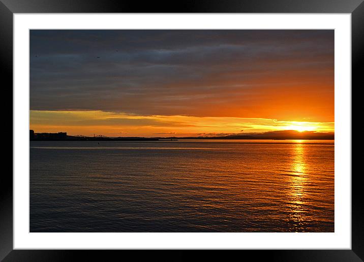 Sunset Forth Road Bridge Framed Mounted Print by Shaun Cope