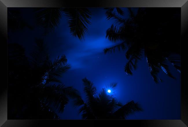 Magic of the Night Sky Framed Print by Jenny Rainbow
