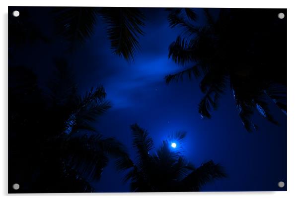 Magic of the Night Sky Acrylic by Jenny Rainbow
