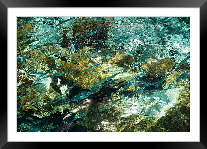 Abstract of the Underwater World. Production by Na Framed Mounted Print by Jenny Rainbow
